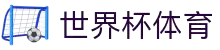 2026世界杯怎么买球？合法正规购彩流程详解 - 王牌体育